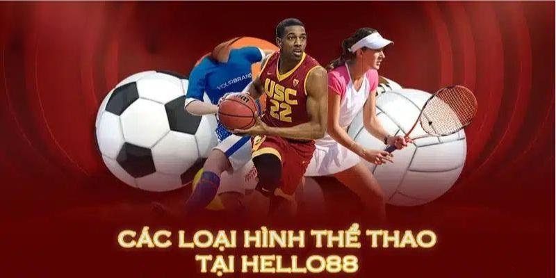 Giới thiệu top 3 loại hình sports được bet thủ yêu thích 